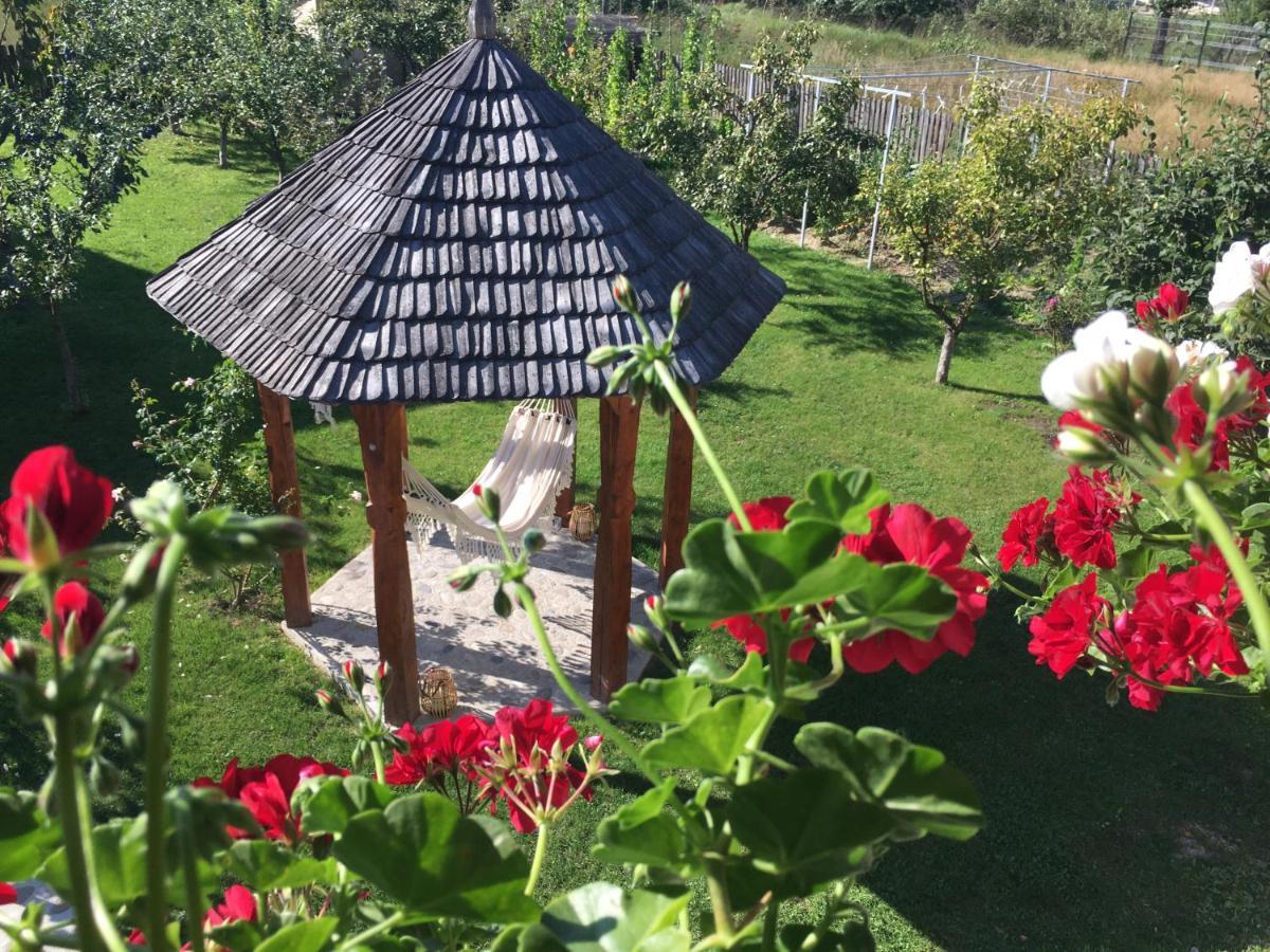 Casa Moldovan Ocna Şugatag Buitenkant foto