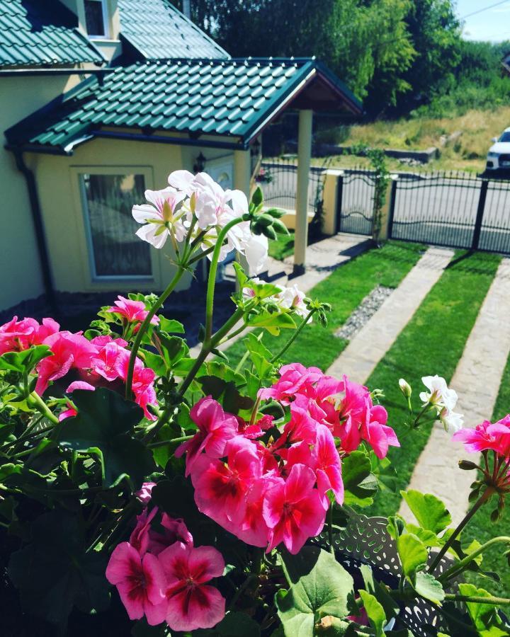 Casa Moldovan Ocna Şugatag Buitenkant foto