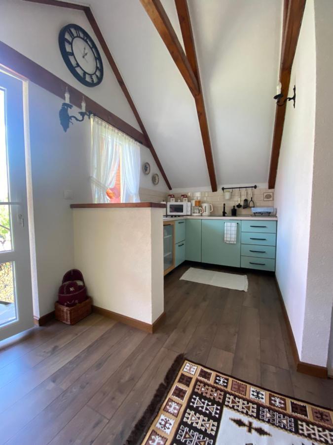 Casa Moldovan Ocna Şugatag Buitenkant foto