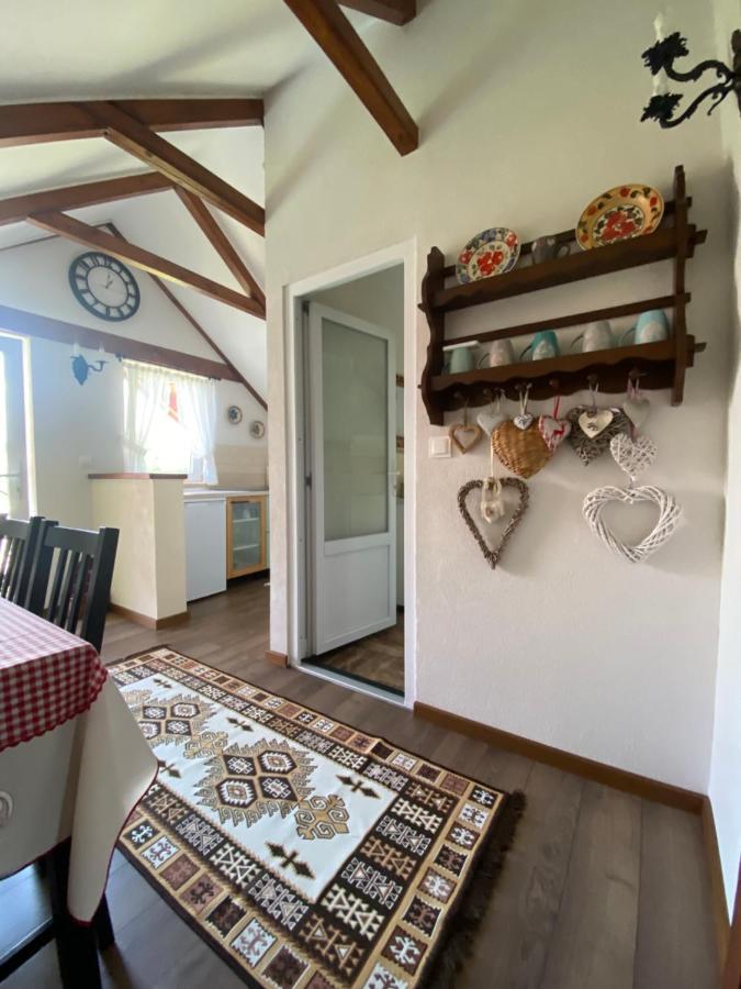 Casa Moldovan Ocna Şugatag Buitenkant foto